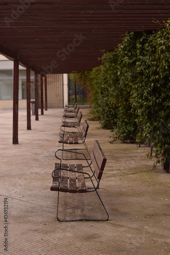 Parque, bancos y soledad