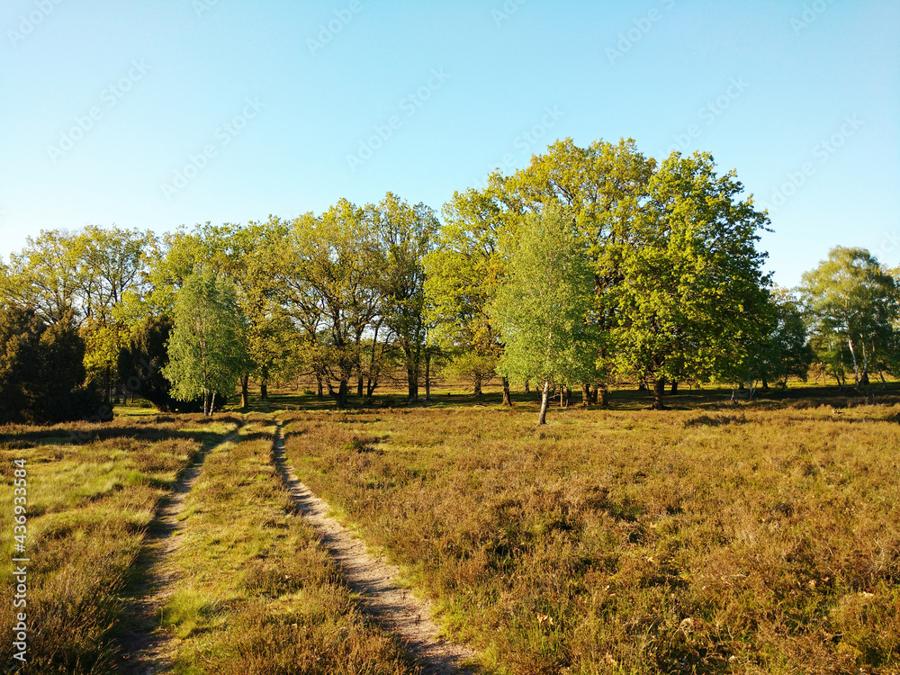 Lüneburger Heide Landschaft im Frühling