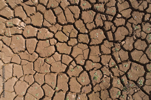 Terra seca e rachada por falta de água formando desenhos regulares. 