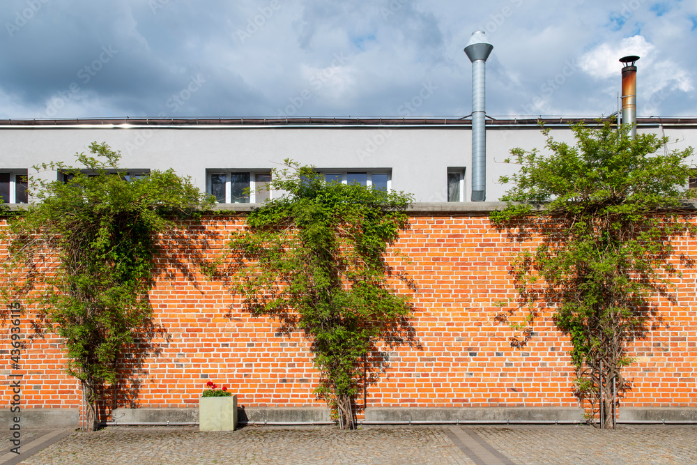 Fototapeta premium Mur z czerwonej cegły z roślinnością i budynkiem z kominami