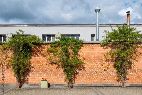 Mur z czerwonej cegły z roślinnością i budynkiem z kominami