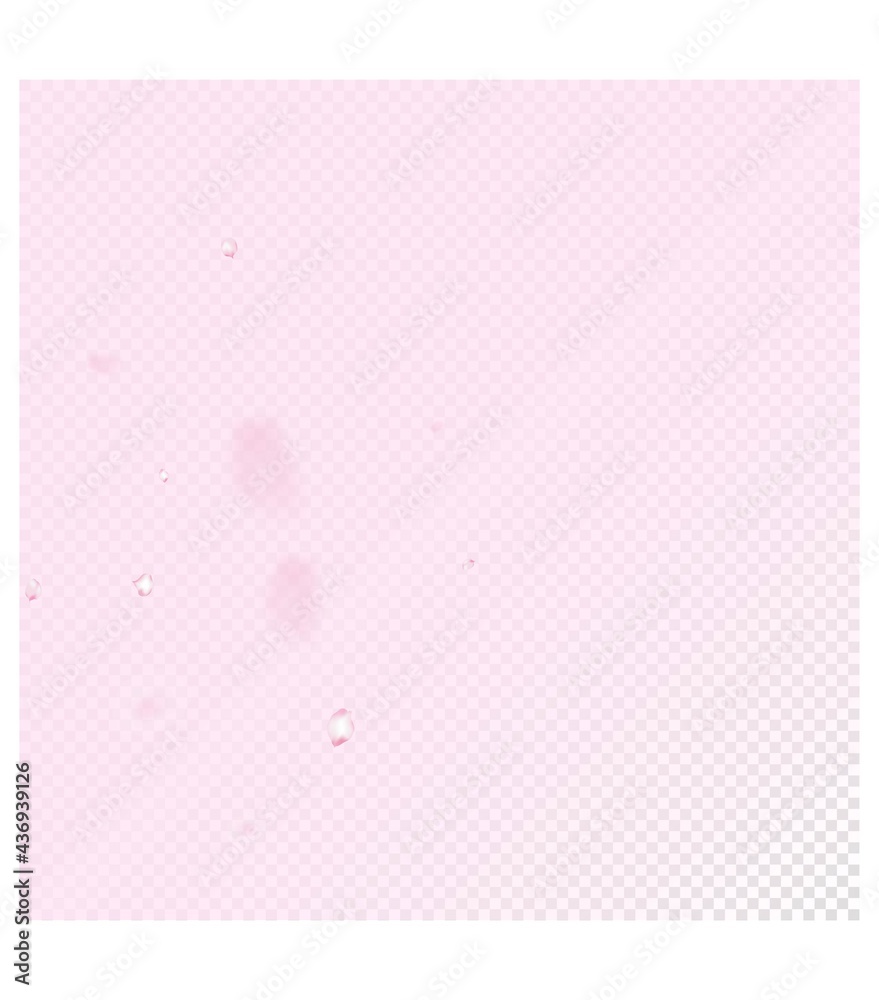Cherry Sakura Blossom Confetti. Blooming Cosmetics Ad Beautiful