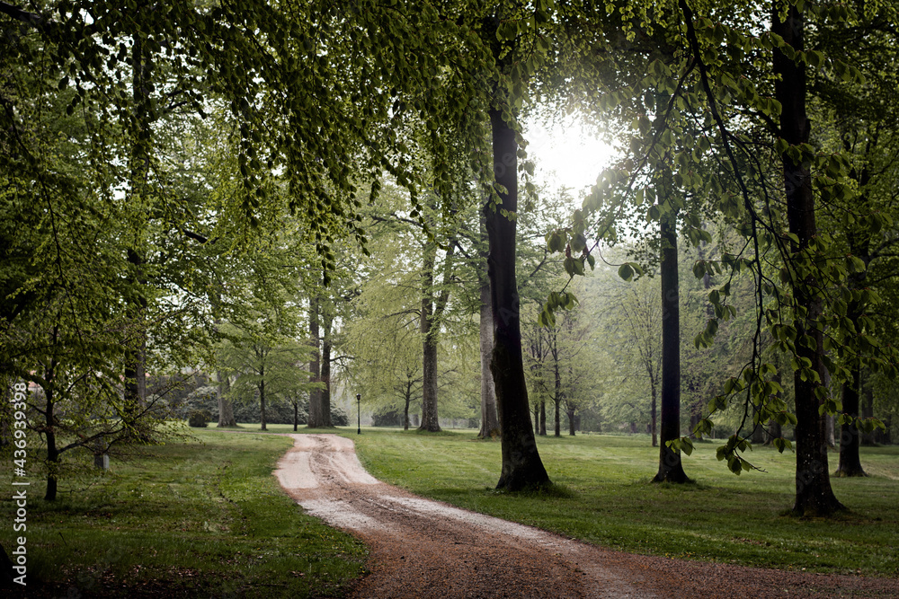 Empty wet footpath in the park after the rain, surrounded by lush green trees. Sunshine is starting to come through the clouds on this summer morning. Photo taken in Helsingborg, Sweden. Empty wet footpath in the park after the rain, surrounded by lush green trees. Sunshine is starting to come through the clouds on this summer morning. Photo taken in Helsingborg, Sweden.