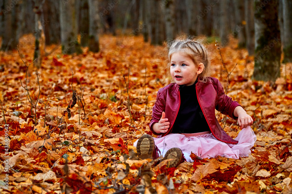 Happy child in the golden forest. Yellow leaves on the trees. Bouquet of leaves. High quality photo Happy child in the golden forest. Yellow leaves on the trees. Bouquet of leaves. High quality photo