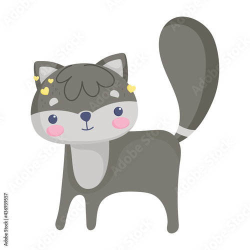 little raccoon stuffed toy
