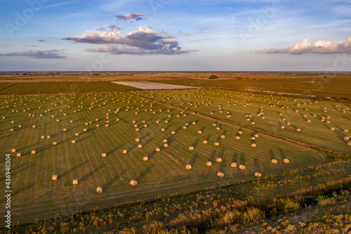 Aerial view of rolls of hay in a pasture, view of an endless field in countryside in Kenansville, Florida, United States. photo