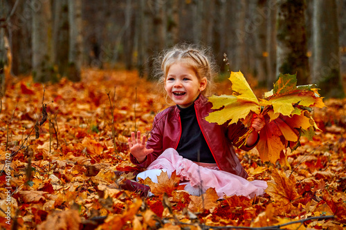 Happy child in the golden forest. Yellow leaves on the trees. Bouquet of leaves. High quality photo