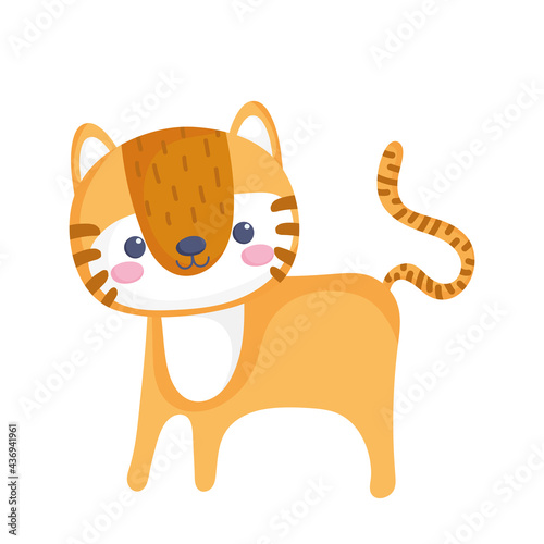 little tiger stuffed toy