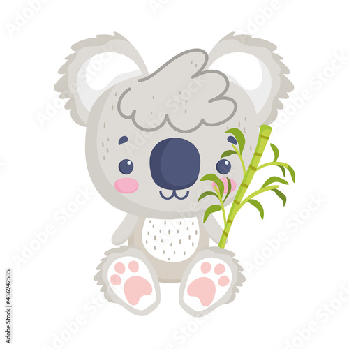 Photography cute koala with branch