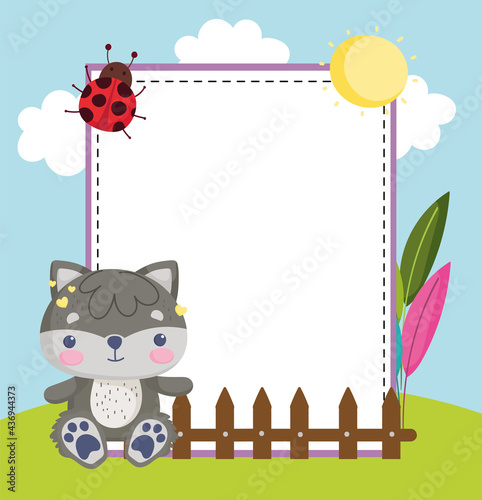 stuffed raccoon animal
