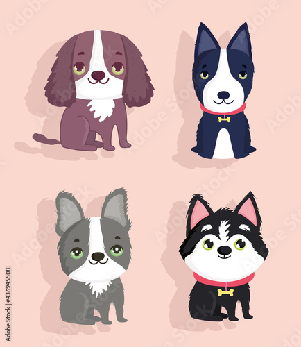 set of funny dogs