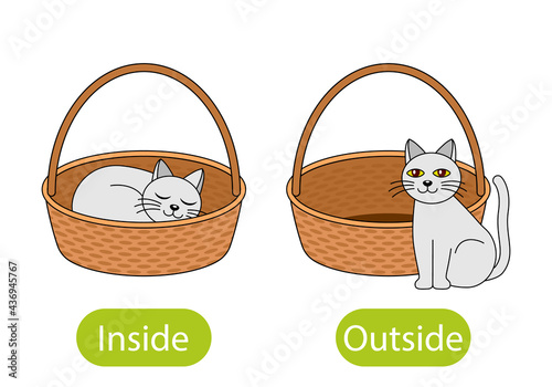 the cat sits inside the box and next to the basket. the concept of children learning opposite prepositions inside and out.