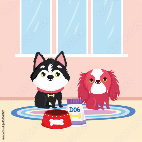 little dogs and food