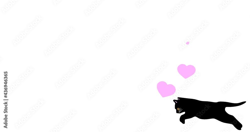 楽しくジャンプする黒猫 楽しくジャンプする黒猫