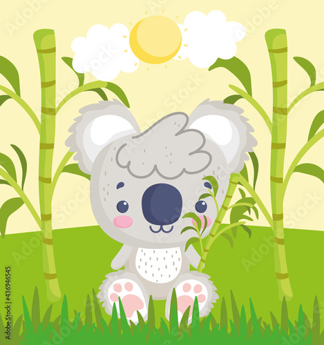 cute koala on grass