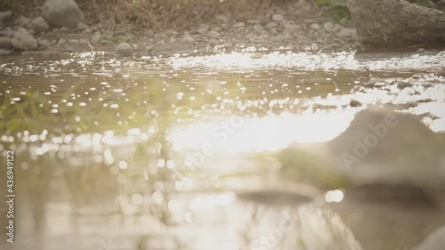 The sparkling surface of the water is illuminated by the scorching sun