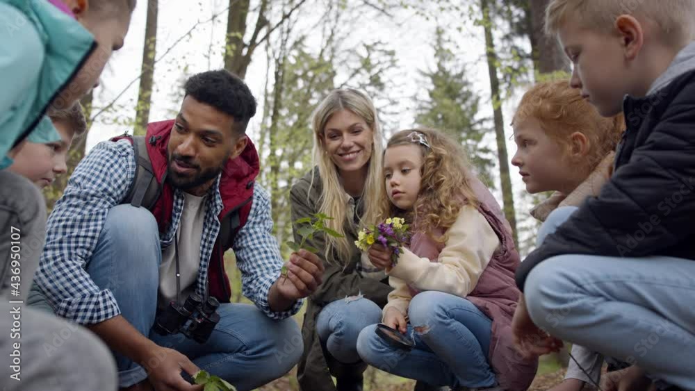 African-american teachers with group of small children outdoors in nature, learning group education concept.