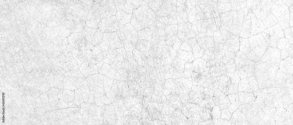 White texture concrete background. Grunge cement wall for wallpaper design. White texture concrete background. Grunge cement wall for wallpaper design.