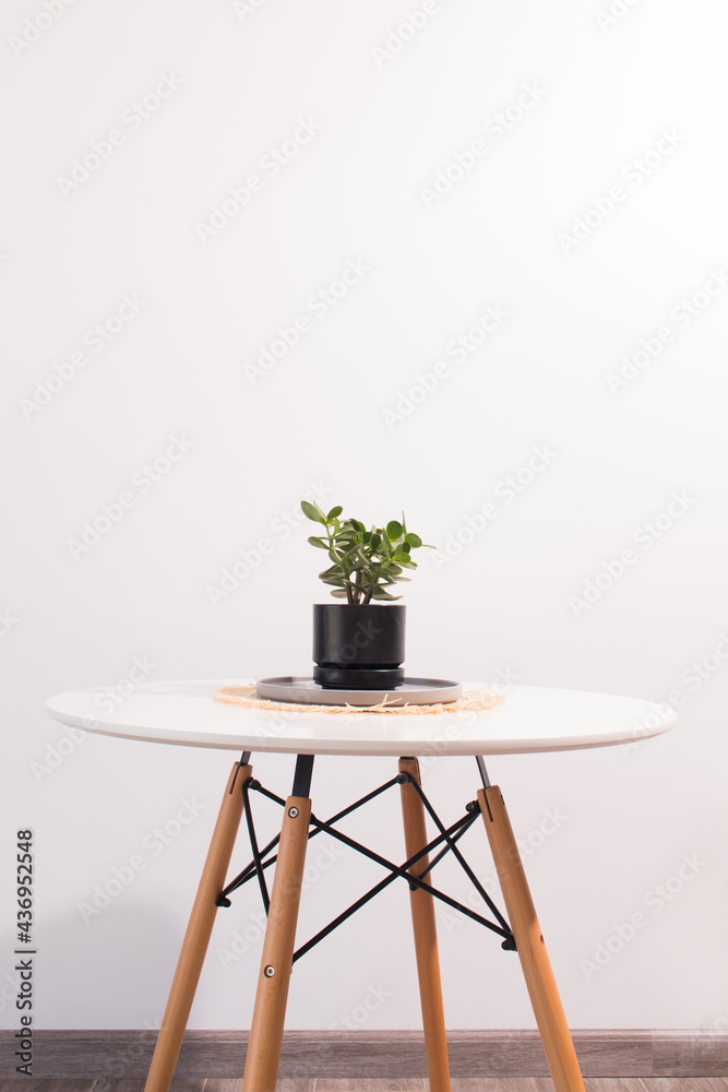 Decoración minimalista al estilo nórdico con naturaleza muerta y flores  sobre mesas y sofá Stock Photo | Adobe Stock