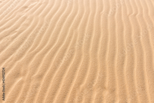 Texture of the sand dune in the desert of Qatar