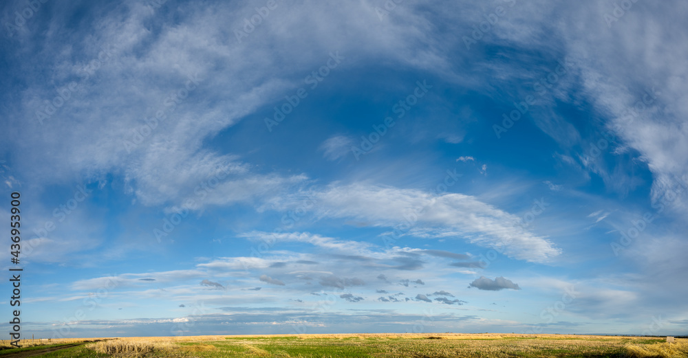 Panorama of a prairie in the evening with wispy white clouds in a blue sky. A dirt road in one corner.
