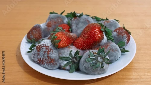 Strawberries rotting away in a pantry