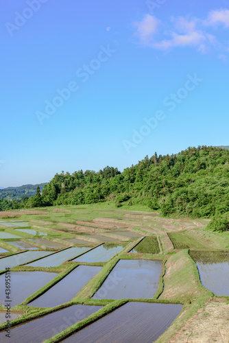 田植え 山形県 椹平の棚田