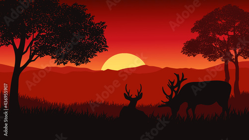 sunset in the forest © Johnster Designs