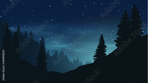 night landscape with pine trees