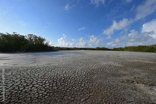 Dry exposed bed of Eco Pond under severe drought conditions in Evrerglades National Park, Florida.