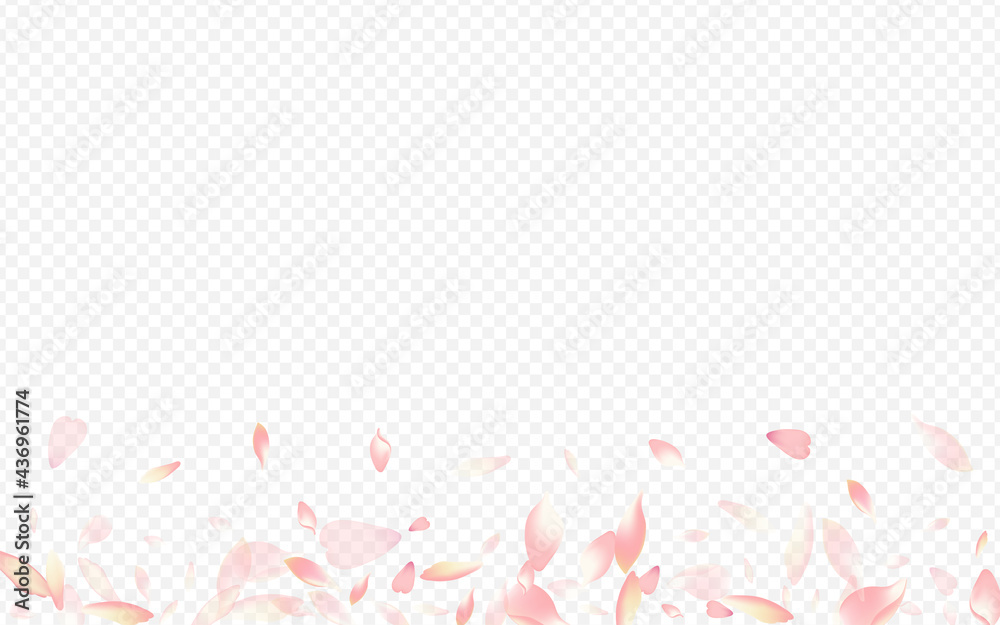 Light Peach Vector Transparent Background. Rosa Light Peach Vector Transparent Background. Rosa