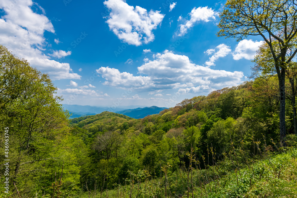View of the Great Smoky Mountains from New Found Gap Road