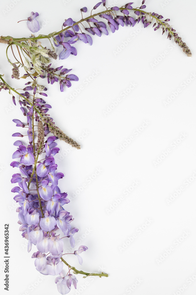 still life with lavender flowers