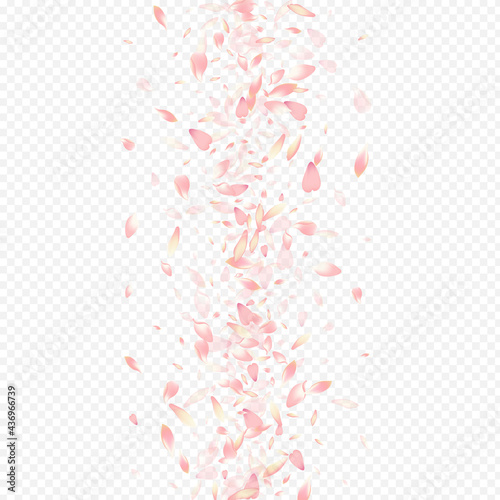 Light Flower Vector Transparent Background.