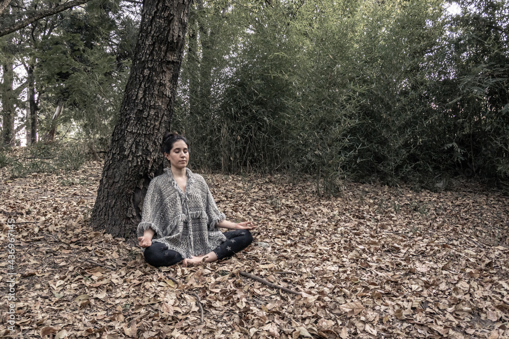 Fototapeta premium hermosa mujer haciendo yoga en el parque