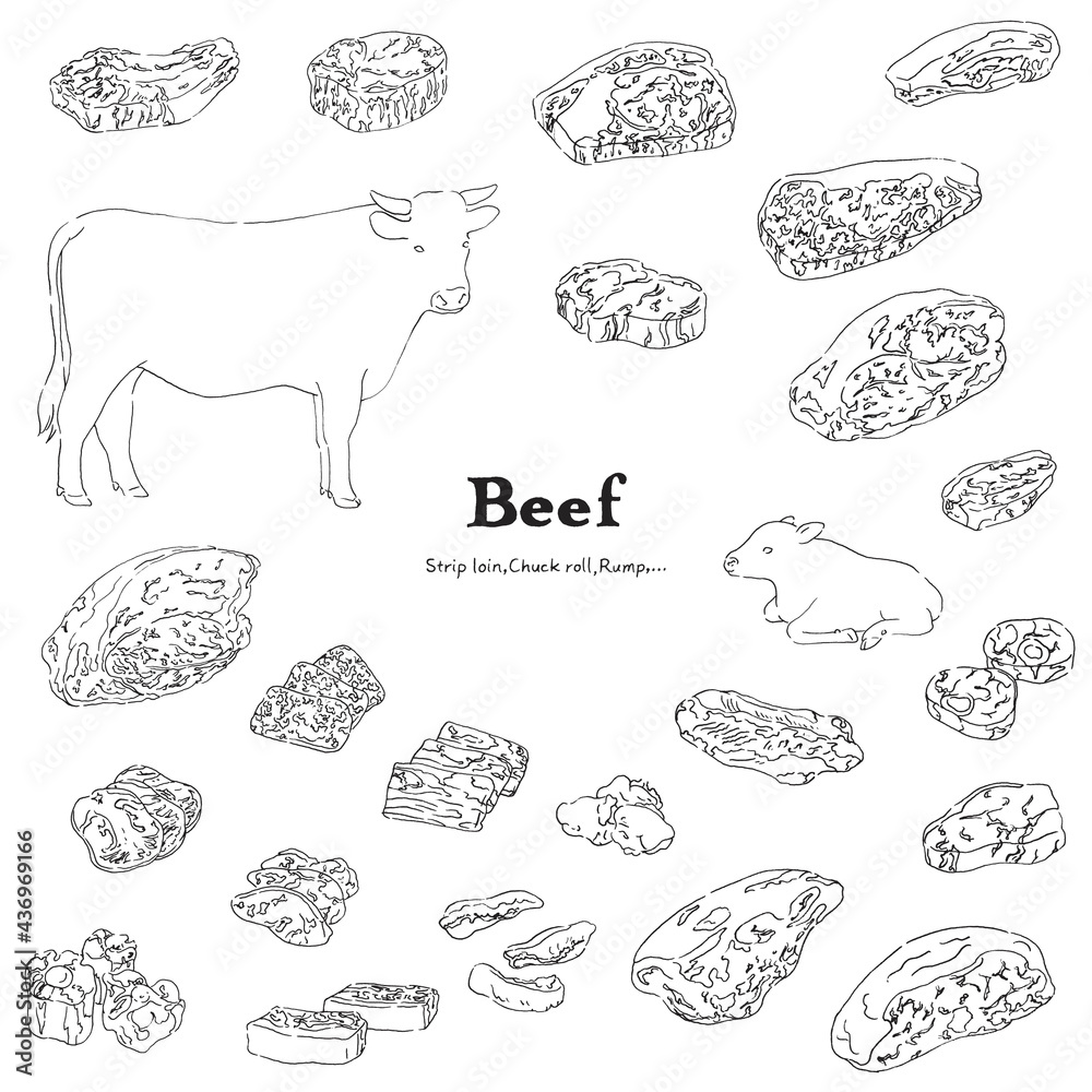 黒毛和牛のイラストセット-手描きの線画