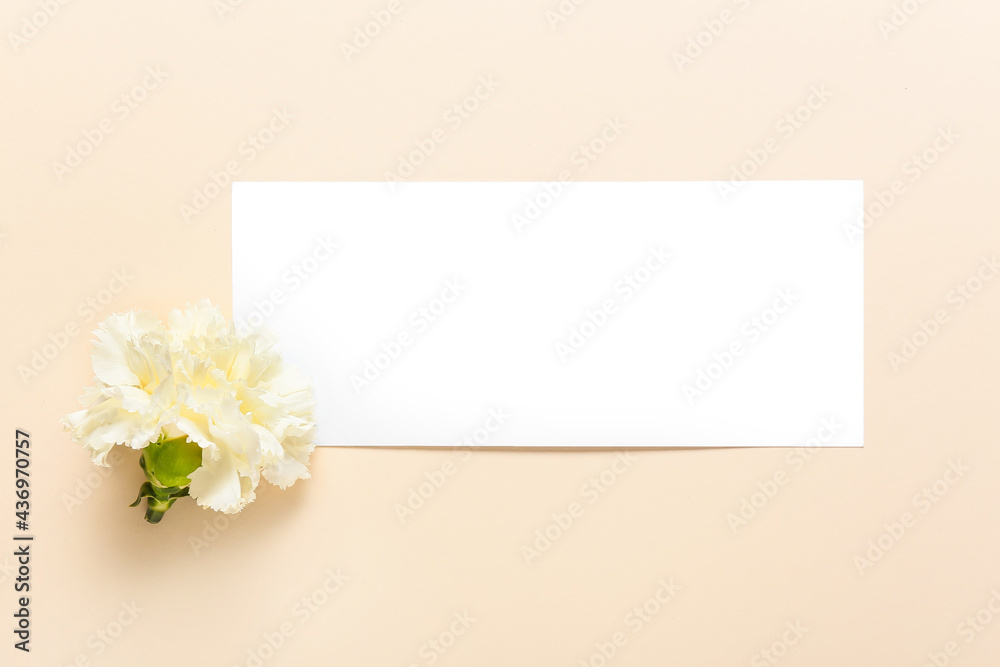 Beautiful carnation flower and blank card on color background Beautiful carnation flower and blank card on color background