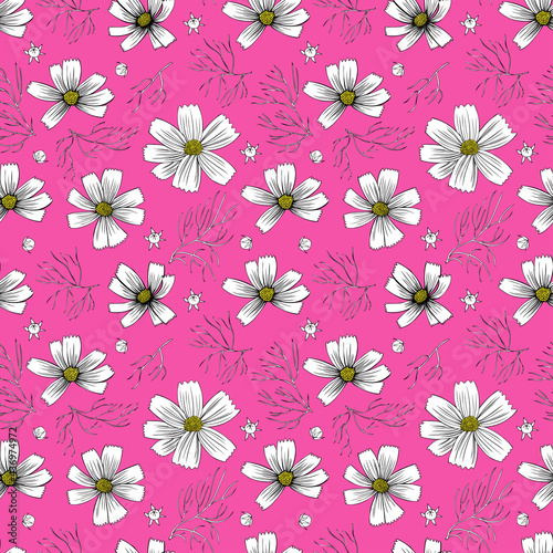 Seamless floral pattern,Kosmos flower, Kosmeya hand drawn illustration, wild flower astra isolated on pink backround, decorative backdrop design for greeting card, wedding invitation, cosmetics
