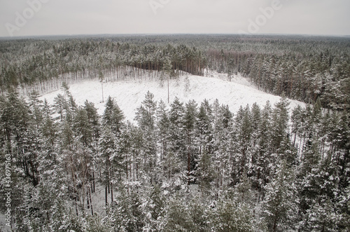 Aerial view of forest by the Usma lake in winter day, Latvia.