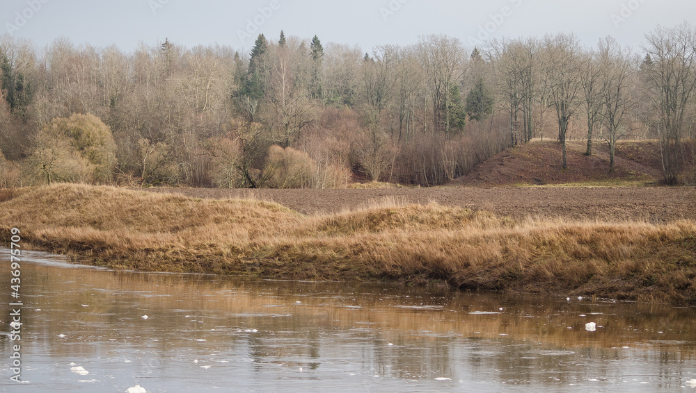 River Venta with foam in autumn day, Latvia.