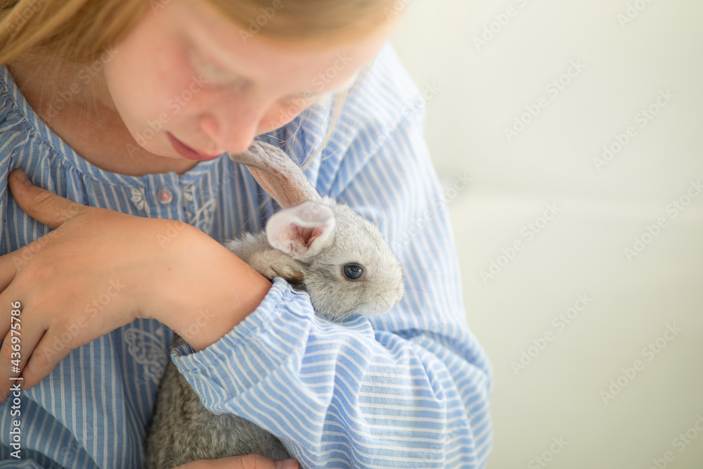 red-haired girl plays with a rabbit in a light interior, tenderness with an animal red-haired girl plays with a rabbit in a light interior, tenderness with an animal
