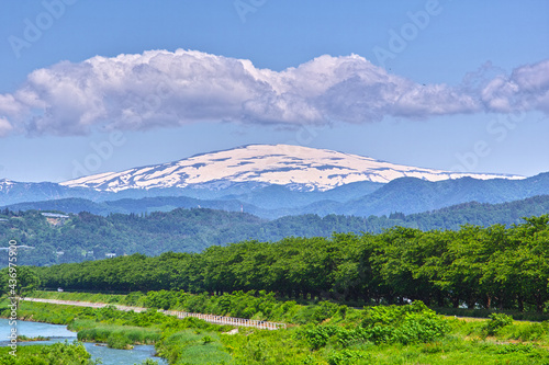 ６月の月山（山形県）

山形県河北町の溝延橋から雪解けの月山を望む。
堤防の桜の木は新緑に覆われ、月山は雪解けが進み山肌が見えてきました。
清々しい初夏の風景です。

