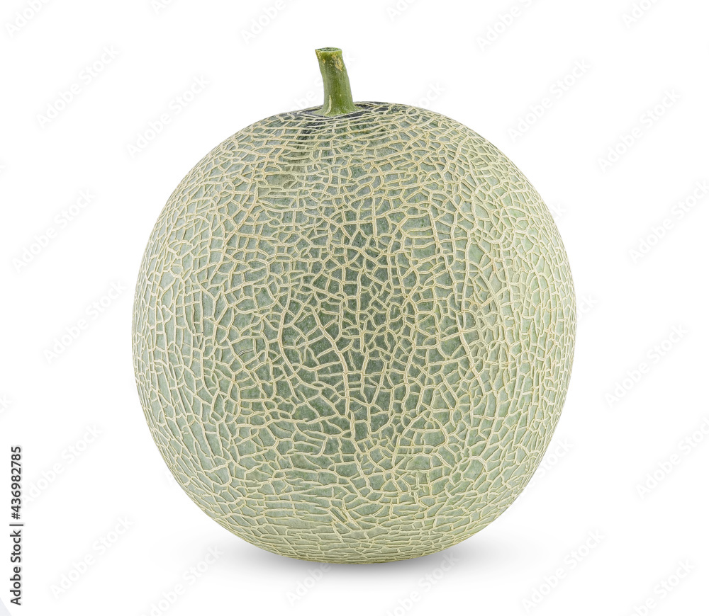 cantaloupe melon isolated on white background cantaloupe melon isolated on white background