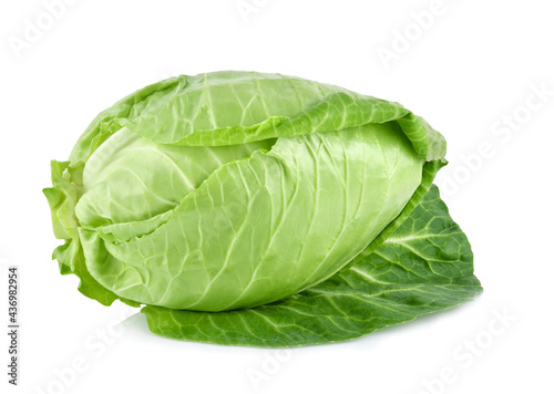 pointed cabbage isolated on white background photo