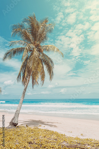 Landscape summer beach background  with the sunny sky at the sea in Phuket  Thailand. Beautiful scene of blue sky and clouds on a sunny day. Empty holiday sea with palm tree.