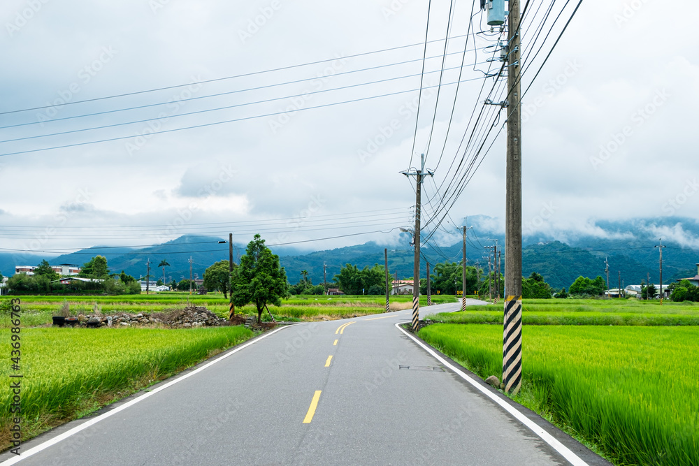 An uninhabited country road in eastern Taiwan, full of rice fields on the side of the road