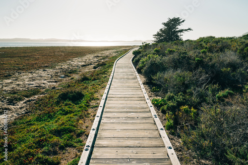 The Marina Peninsula Trail at Morro Bay State Park goes through the estuary and elfin forest near the harbor  California Central Coast