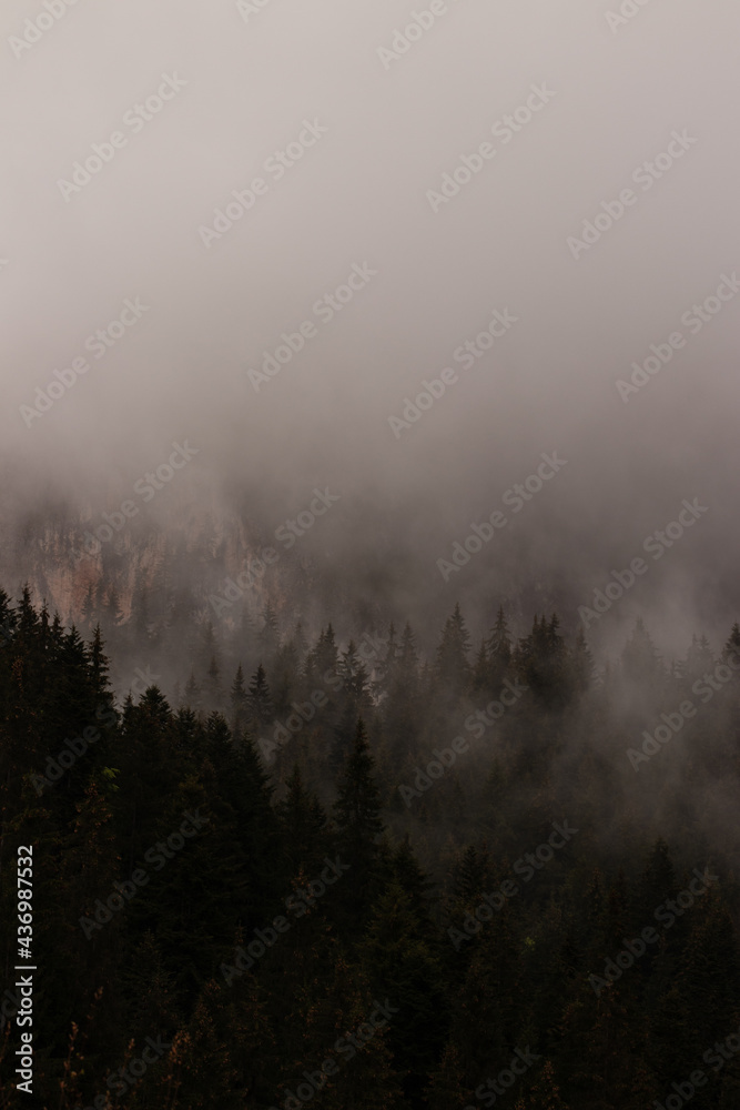 fog in the mountains