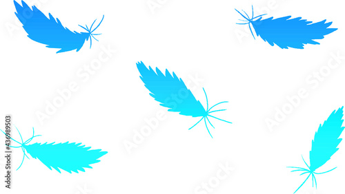 Blue feather silhouette