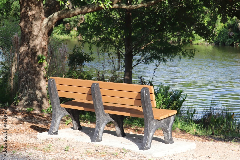 Classic Park Bench Facing Water Classic Park Bench Facing Water